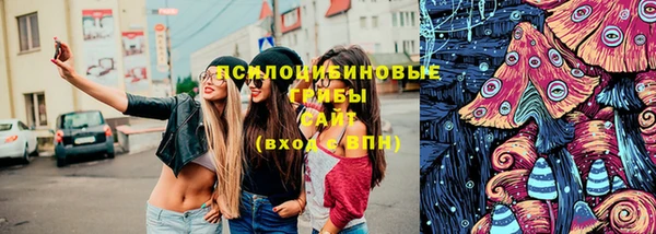 ГАЛЛЮЦИНОГЕННЫЕ ГРИБЫ Зеленокумск