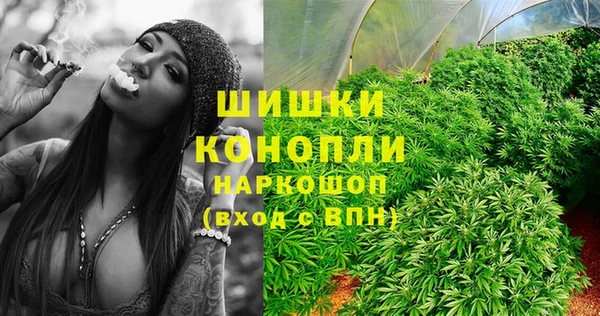 PSILOCYBIN Зерноград