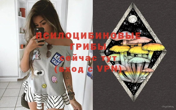 PSILOCYBIN Зерноград